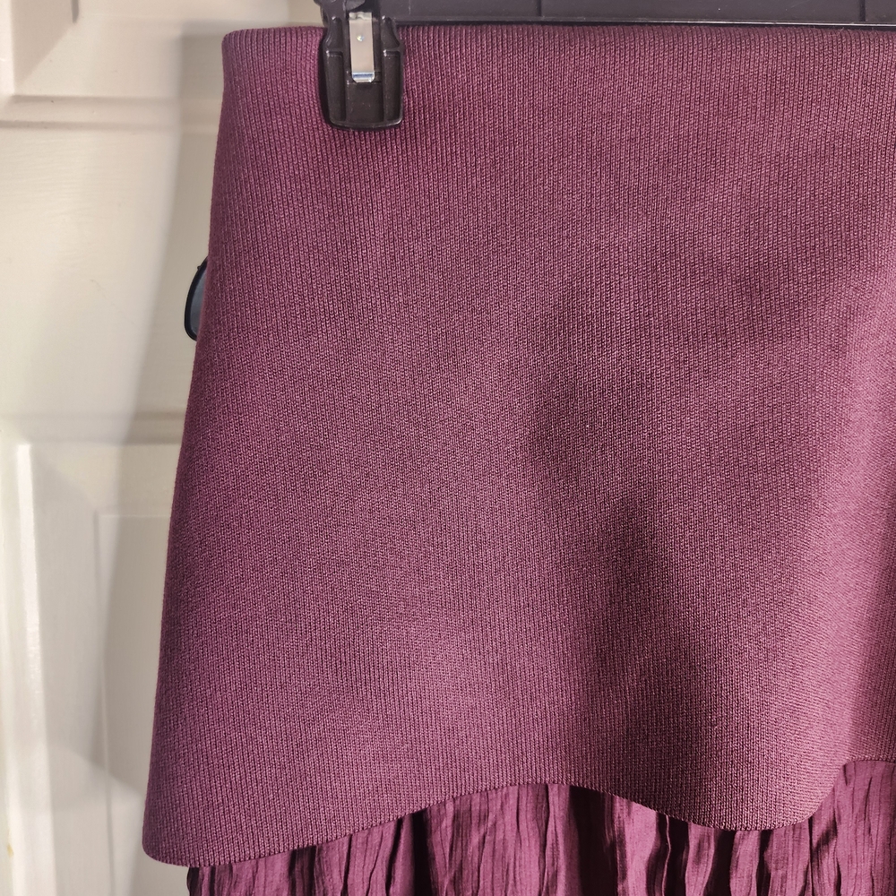 Zara Burgundy Pleated Maxi Skirt - Picture 5 of 7